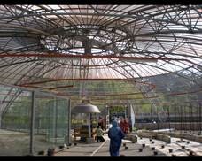 GAMMA Greenhouse inside view